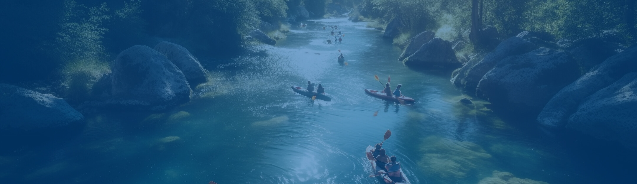 about health energy longevity about health energy longevity