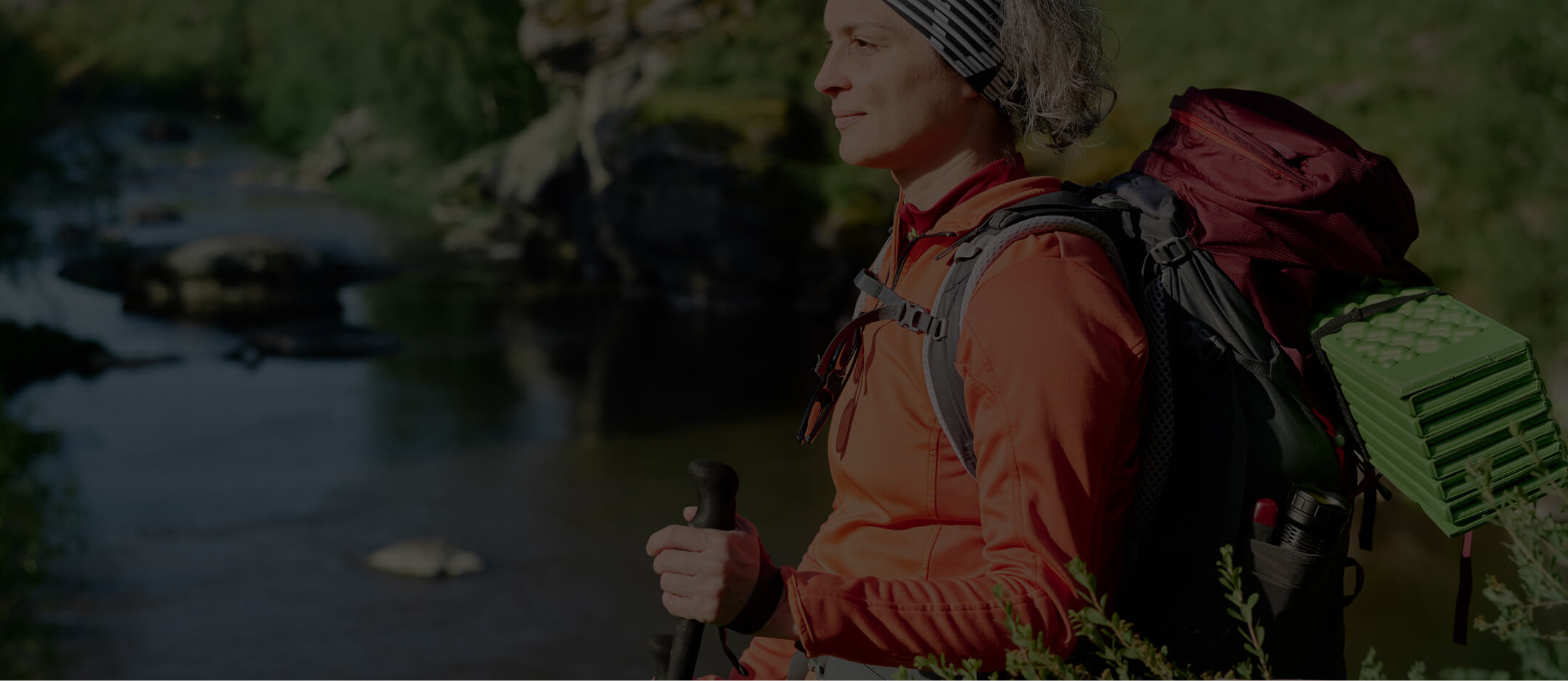 health energy longevity principles health energy longevity principles